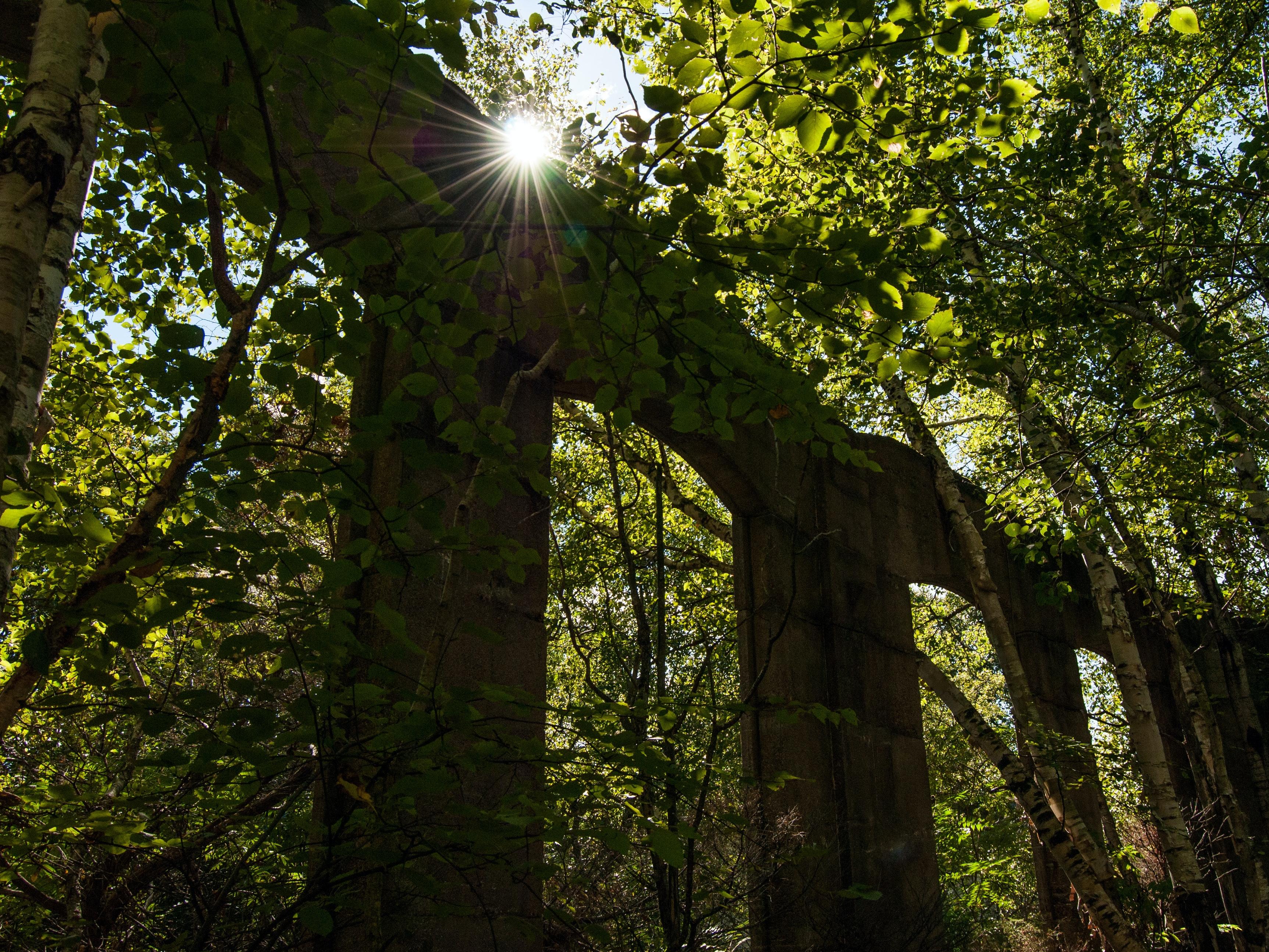 Remains of the Roundhouse